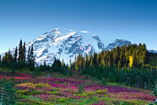 596536 (a): :2560x1707
